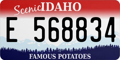 ID license plate E568834