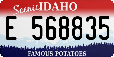 ID license plate E568835
