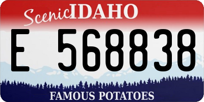 ID license plate E568838