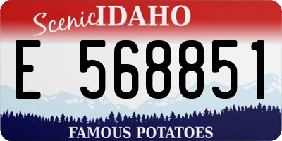 ID license plate E568851