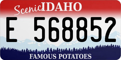ID license plate E568852