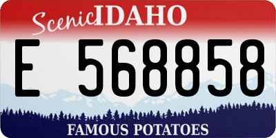 ID license plate E568858