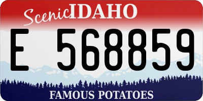 ID license plate E568859