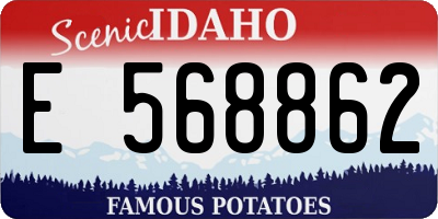 ID license plate E568862