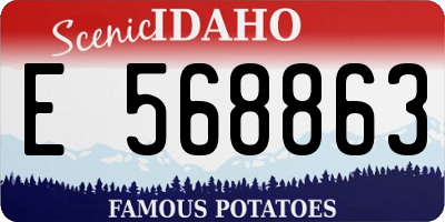 ID license plate E568863