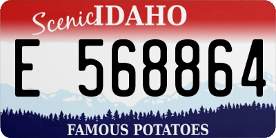 ID license plate E568864