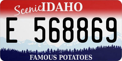 ID license plate E568869