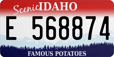ID license plate E568874