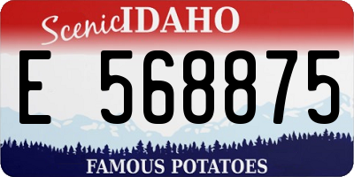 ID license plate E568875