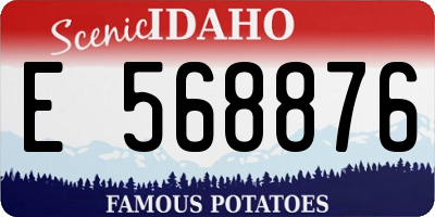 ID license plate E568876