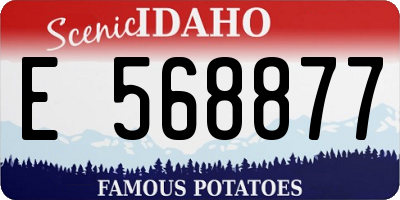 ID license plate E568877