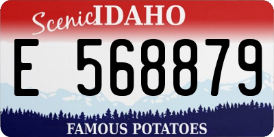 ID license plate E568879