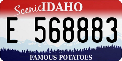 ID license plate E568883