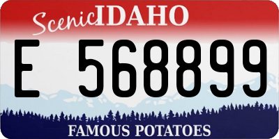 ID license plate E568899