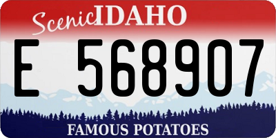 ID license plate E568907