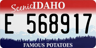 ID license plate E568917
