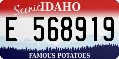 ID license plate E568919