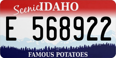 ID license plate E568922