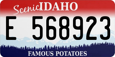 ID license plate E568923