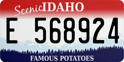 ID license plate E568924