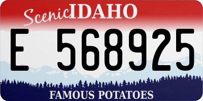 ID license plate E568925