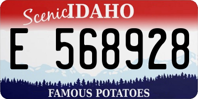 ID license plate E568928