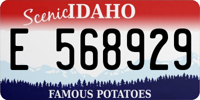 ID license plate E568929
