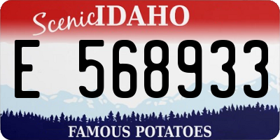 ID license plate E568933