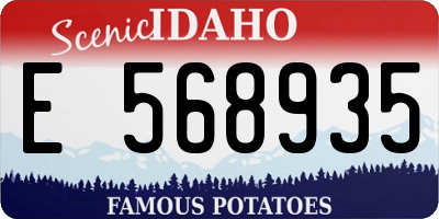 ID license plate E568935