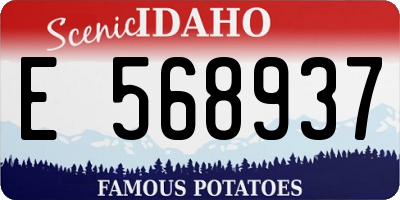 ID license plate E568937