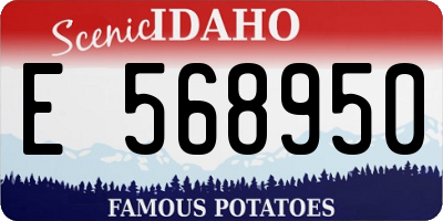 ID license plate E568950