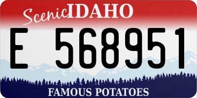 ID license plate E568951