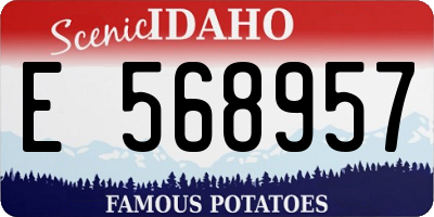 ID license plate E568957