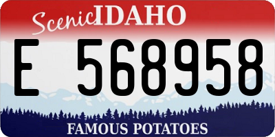 ID license plate E568958