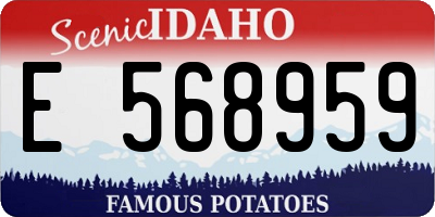 ID license plate E568959