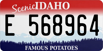 ID license plate E568964
