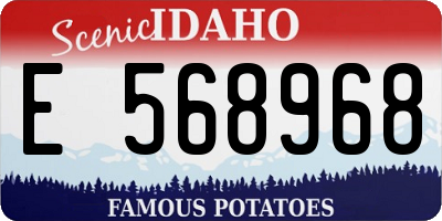 ID license plate E568968