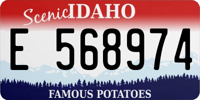 ID license plate E568974