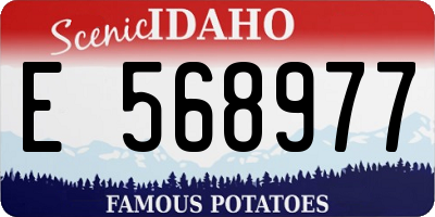ID license plate E568977