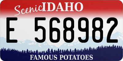 ID license plate E568982