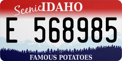 ID license plate E568985
