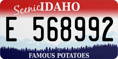 ID license plate E568992