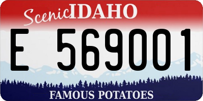 ID license plate E569001