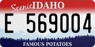 ID license plate E569004