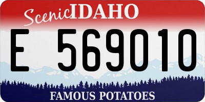 ID license plate E569010