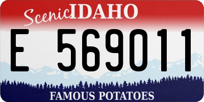 ID license plate E569011