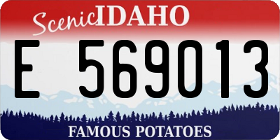 ID license plate E569013