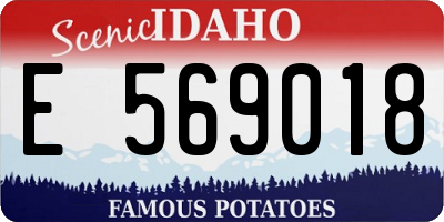 ID license plate E569018