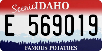 ID license plate E569019