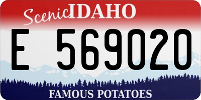 ID license plate E569020